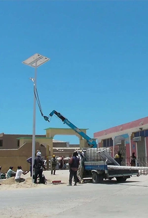 50w Plate 8.5m Pole All in Two Solar Street Light in Cameroon
