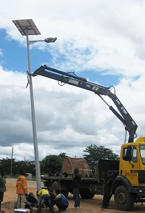 60w Plate 8m Pole Integrated Solar Street Light in Zambia